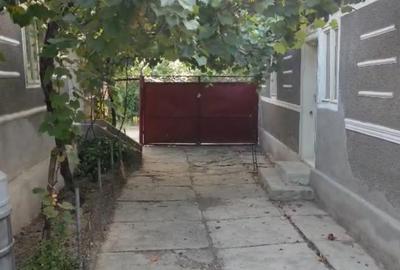 Casă cu 4 camere cu Teren 4404 Mp în Susag