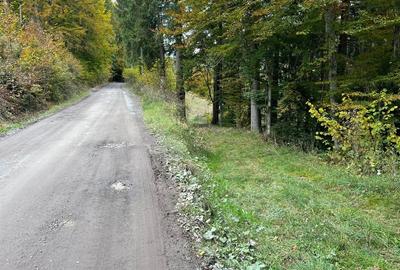 Teren de 5600 mp, în Vărșag - 1