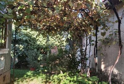 Casă cu 3 camere cu Teren 1840 Mp în Exterior Vest - 3