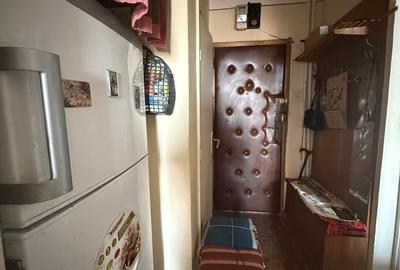 Apartament cu 2 camere semidecomandat în Iosefin - 4