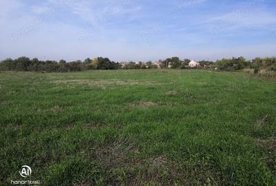 Teren de 13668 mp, în Dudeștii Vechi - 1