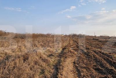 Teren Construcții intravilan de 7600 mp, în Bucovăț