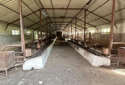 Teren de 115367 mp, în Runcu - 7
