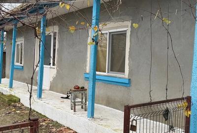 Casă cu Teren 4000 Mp în Valea Nucarilor