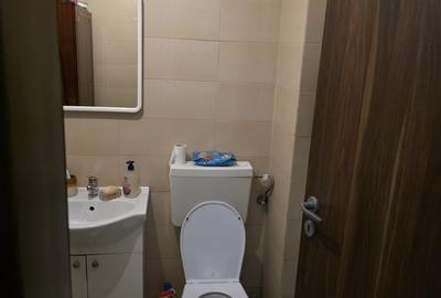 Apartament cu 3 camere decomandat în Berceni - 14