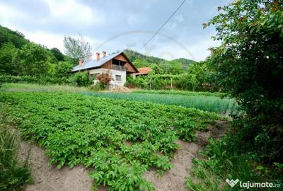 Casă cu 3 camere cu Teren 4696 Mp în Central - 2