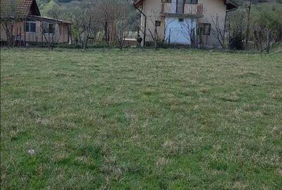 Teren de 3000 mp, în Central - 2