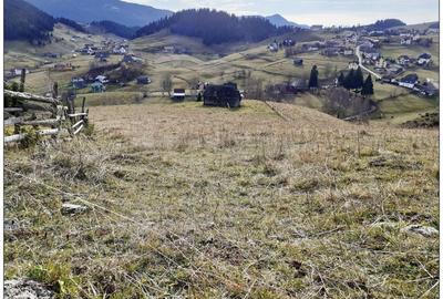 Teren Construcții intravilan de 7000 mp, în Fundata - 4