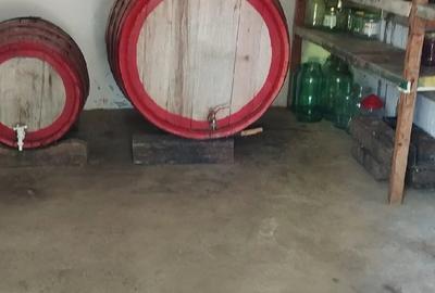Casă cu Teren 1900 Mp în Sascut