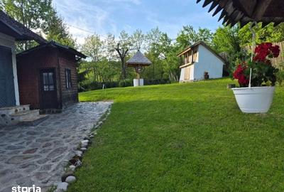 Casă cu 3 camere cu Teren 2250 Mp în Cerașu - 18