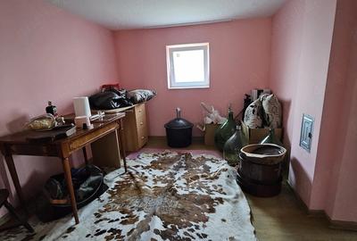 Casă cu Teren 1405 Mp în Sâmbăteni - 5
