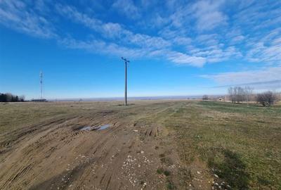 Teren Construcții extravilan de 22790 mp, în Dejani - 3