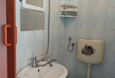 Garsonieră semidecomandată în Nufărul - 2