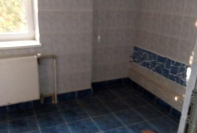 Casă individuală cu 12 camere cu Canalizare în Tineretului - 1