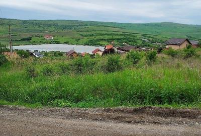 Teren de 1000 mp, în Apahida - 2