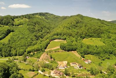 Teren Construcții extravilan de 16000 mp, în Poiana Mărului - 6