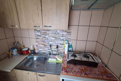 Apartament cu 2 camere semidecomandat în Craiovița Nouă - 4