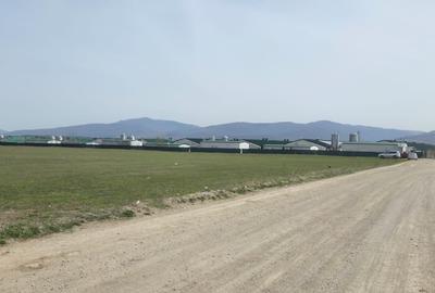 Spațiu industrial, de 2,100 mp, în Tărlungeni - 4