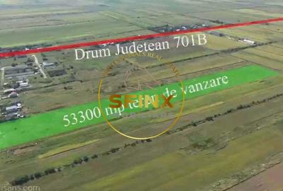 Teren Construcții intravilan de 53500 mp, în Ciocănești - 3