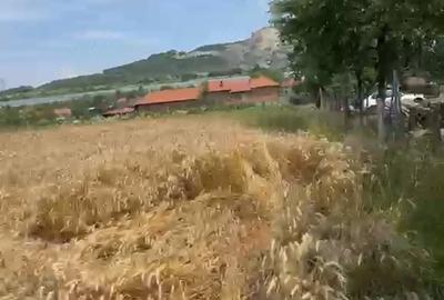 Teren de 2500 mp, în Bretea Mureșană