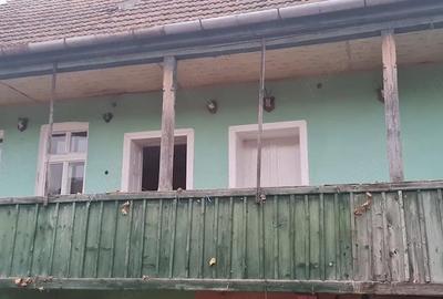 Casă cu Teren 6000 Mp în Țeline - 2