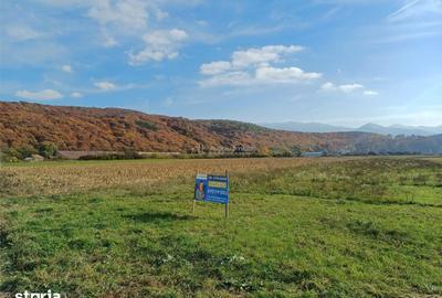 Teren de 10000 mp, în Tălmaciu