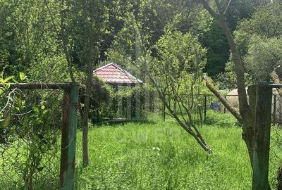 Casă individuală cu 11 camere cu Canalizare în Cisnădioara - 28