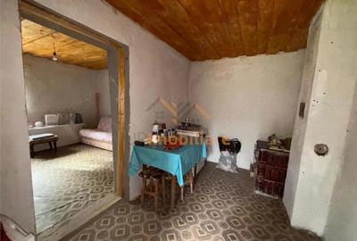Casă cu 2 camere cu Teren 4000 Mp în Dernișoara - 2