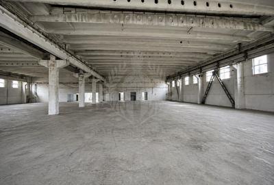 Spațiu industrial, în Bereasca - 4