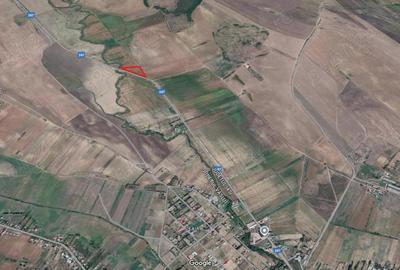 Teren de 28500 mp, în Dobrovăț - 2