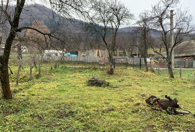 Teren de 1500 mp, în Corbi - 4