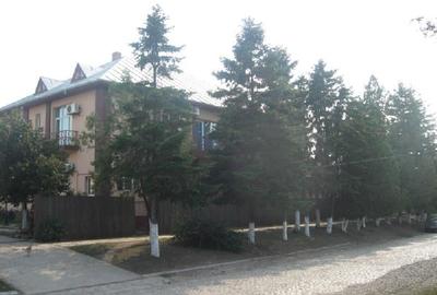 Casă cu 10 camere cu Garaj în Valea Argovei - 7