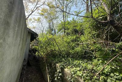 Casă cu 2 camere în Sud - 5