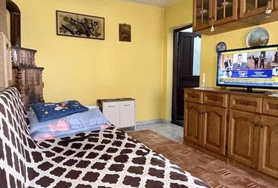 Casă cu 4 camere cu Teren 1668 Mp în Bujoreni - 14