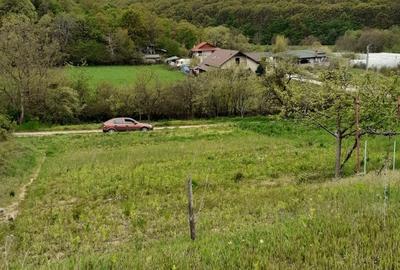 Teren de 1200 mp, în Central - 1