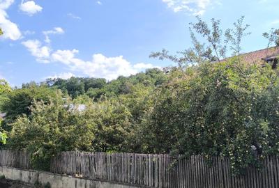 Casă cu 3 camere cu Canalizare în Teișani - 2