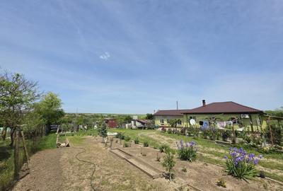 Casă individuală cu 3 camere cu Teren 3604 Mp în Tortoman - 5