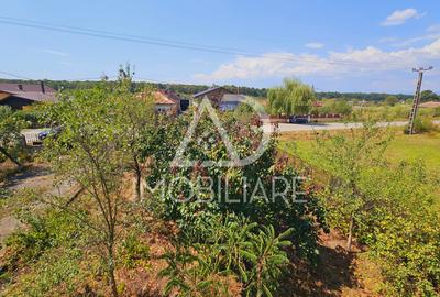 Casă individuală cu 6 camere cu Teren 3778 Mp în 9 Mai - 14