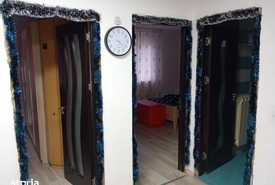 Casă cu 3 camere cu Teren 2260 Mp în Siloz