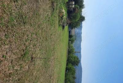 Teren de 2500 mp, în Runcu - 2