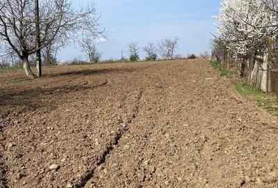 Casă cu 3 camere cu Teren 2200 Mp în Săuca