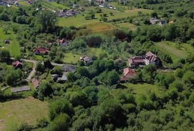 Casă cu 4 camere cu Teren 3765 Mp în Mihăești - 12