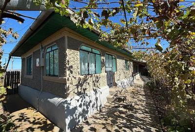 Casă cu Teren 770 Mp în Tomșani