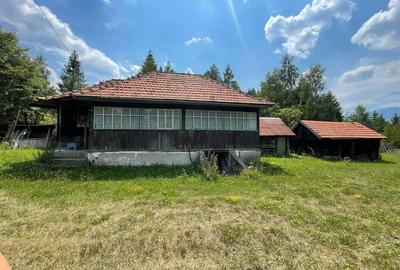 Teren de 4534 mp, în Câmpu lui Neag - 6