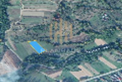 Teren agricol intravilan de 2300 mp, în Cernești - 5