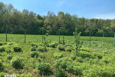 Teren de 837 mp, în Stupini