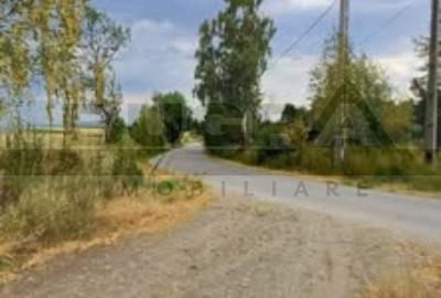 Teren Construcții extravilan de 4265 mp, în Dângău Mare - 2