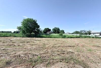 Casă individuală cu 2 camere cu Teren 3600 Mp în Central - 3