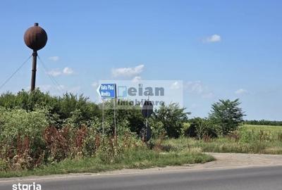 Teren de 28500 mp, în Movilița - 7