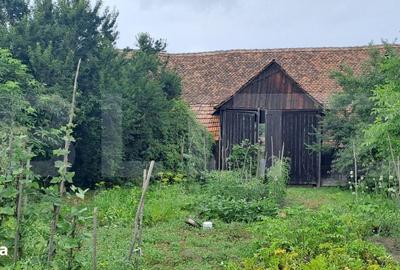 Casă cu 2 camere în Vest - 4